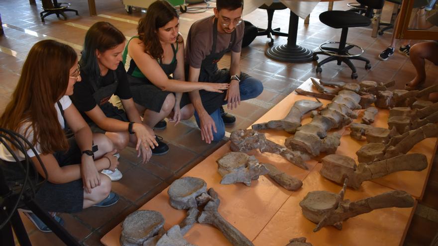 Morella crea un laboratorio a lo &#039;Jurassic Park&#039; para investigar 6.000 huesos de dinosaurios