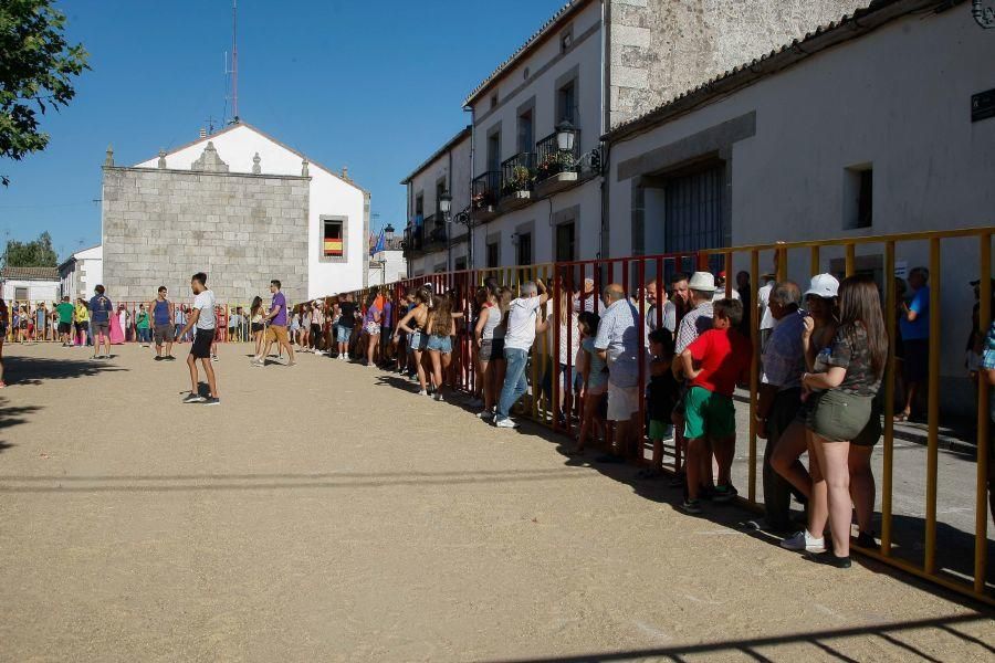 Encierro en Bermillo