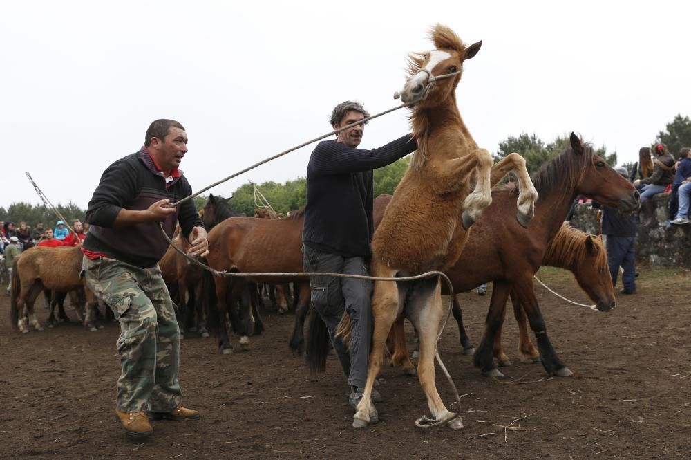 El primer curro de la temporada marca 270 caballos ante más de un millar de espectadores en Oia