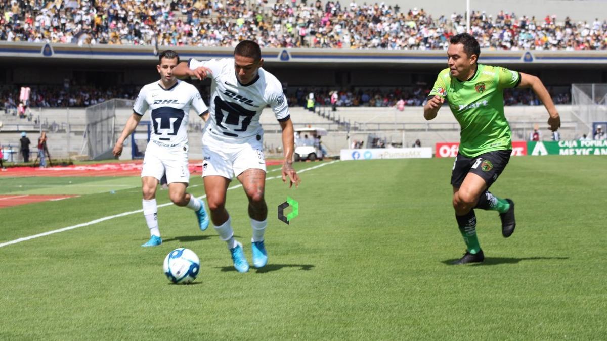 Los Pumas han sido un irregular local en el Apertura 2019