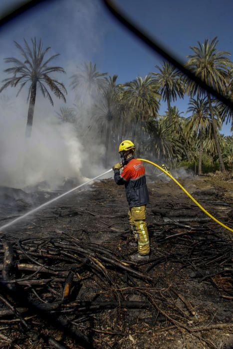 Fuego en el Palmeral de Elche