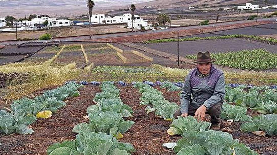 Julián Viera, ayer, en la finca ecológica Machinda, en el pueblo de Tao.