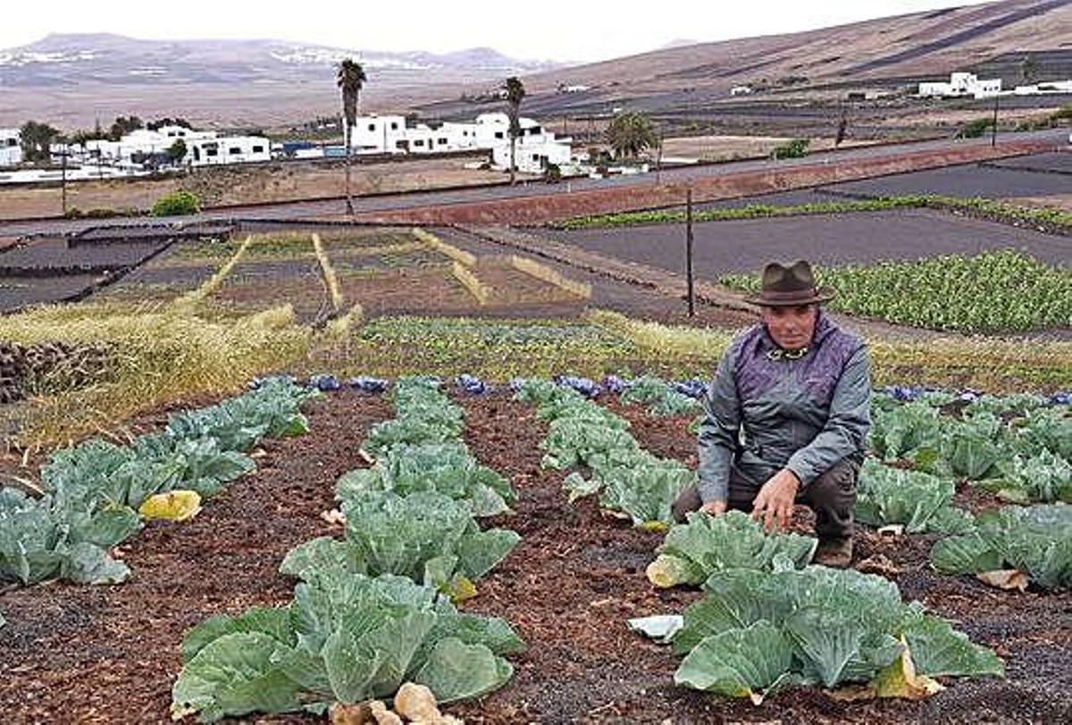 Julián Viera, ayer, en la finca ecológica Machinda, en el pueblo de Tao.