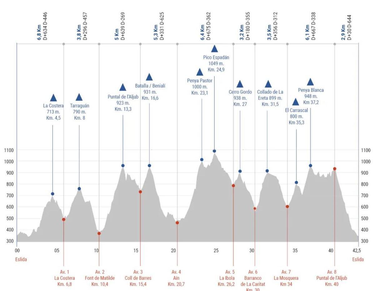 El perfil de la Marató dels Dements 2025