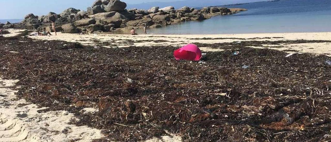 Fotografía aportada por el PP de O Grove para reflejar el supuesto estado de abandono de las playas mecas. // PPdeG