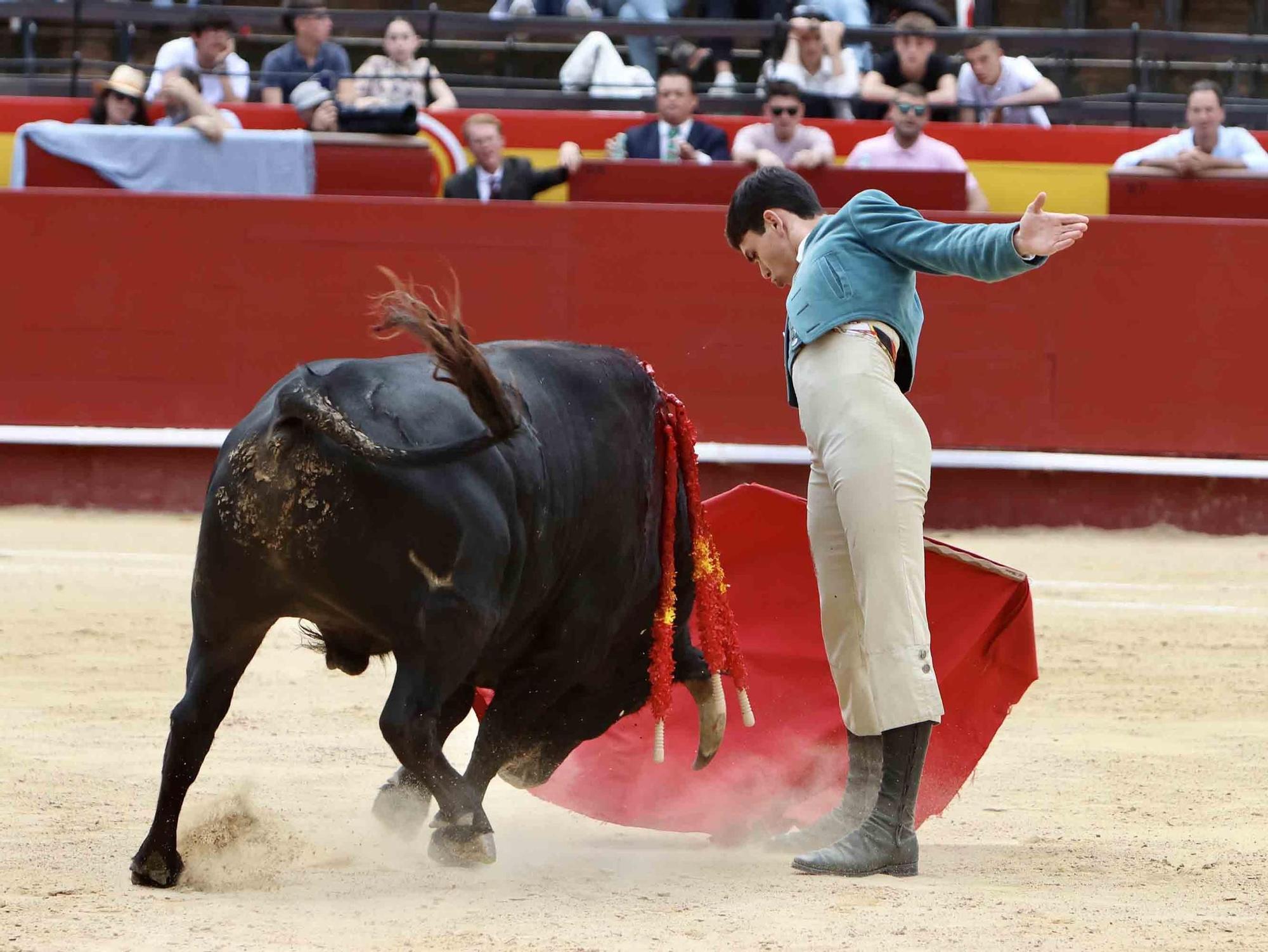 Valencia vive un fin de semana taurino alicantino