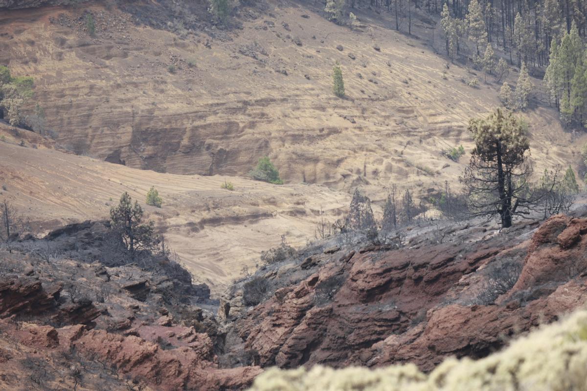 Estabilizado el incendio de Tenerife