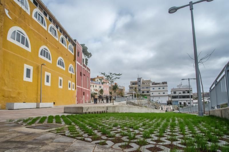 Las Palmas de Gran Canaria. Recorrido por el Corredor Verde de Tamaraceite  | 03/03/2020 | Fotógrafo: José Carlos Guerra