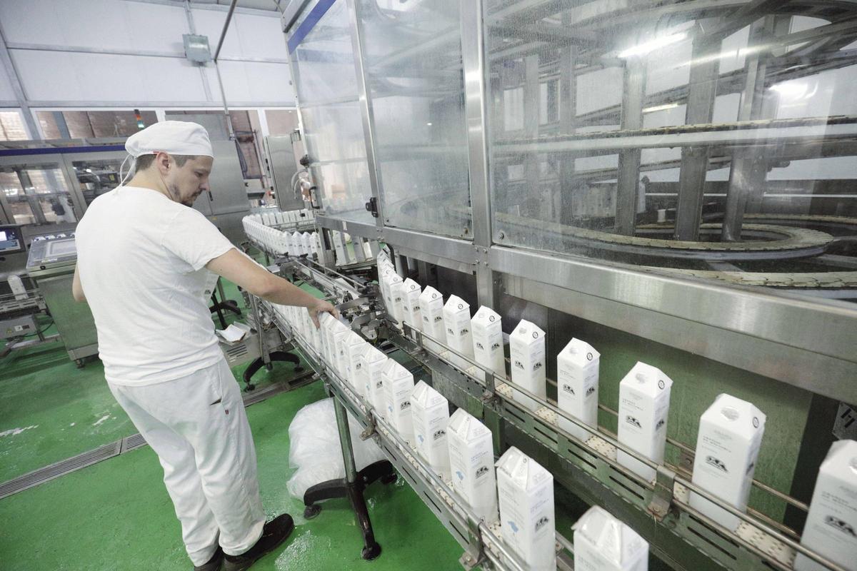 Leckere Inselmilch: Produktion in der Molkerei Agama auf Mallorca.