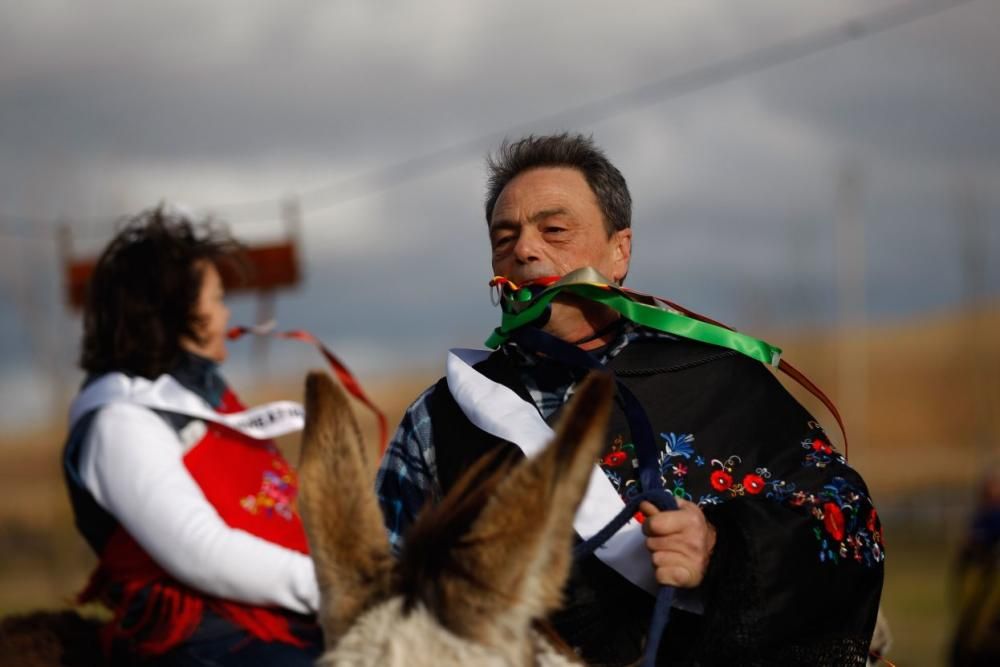 Carrera de cintas en burro en Molacillos.