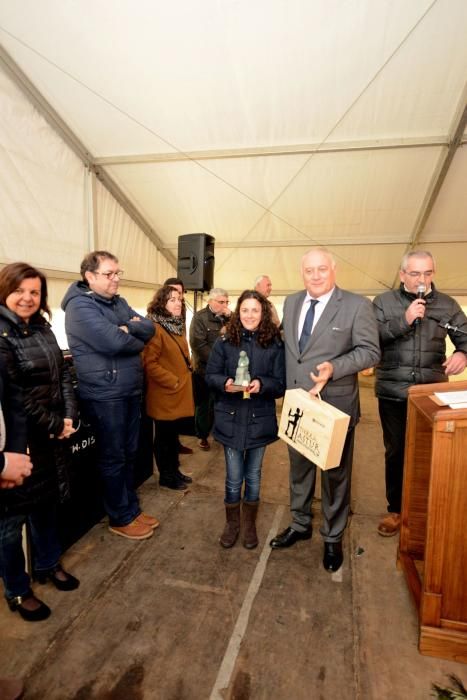 XXVII Certamen de Queso de Afuega'l Pitu en Morcín