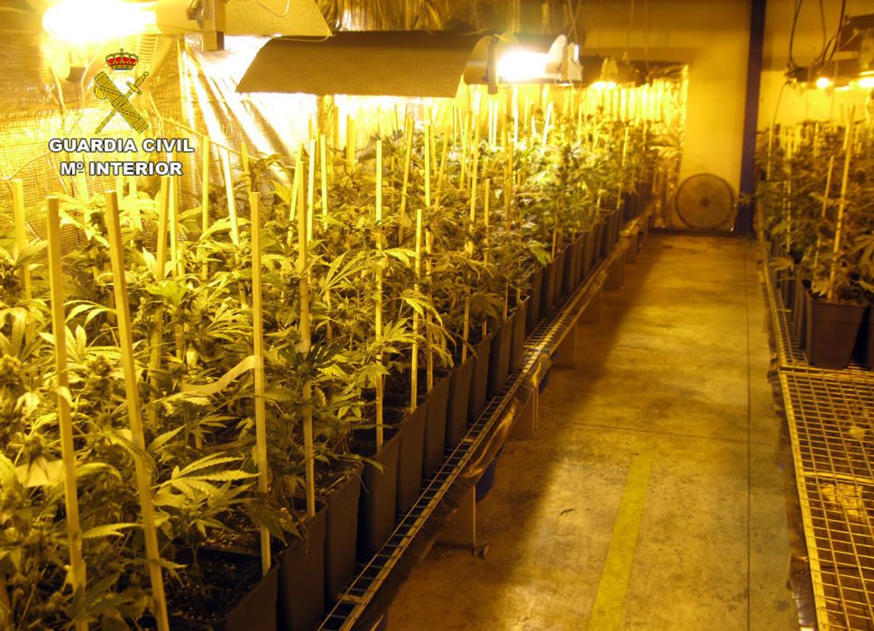 Ocho detenidos en Murcia y Alicante por cultivo y venta de marihuana