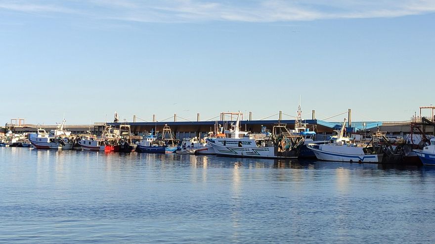 Casi tres meses sin suministro eléctrico en la Cofradía de Pescadores de Águilas