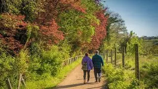 Sendas y vías verdes en Gijón: descubre los recorridos que puedes hacer al aire libre