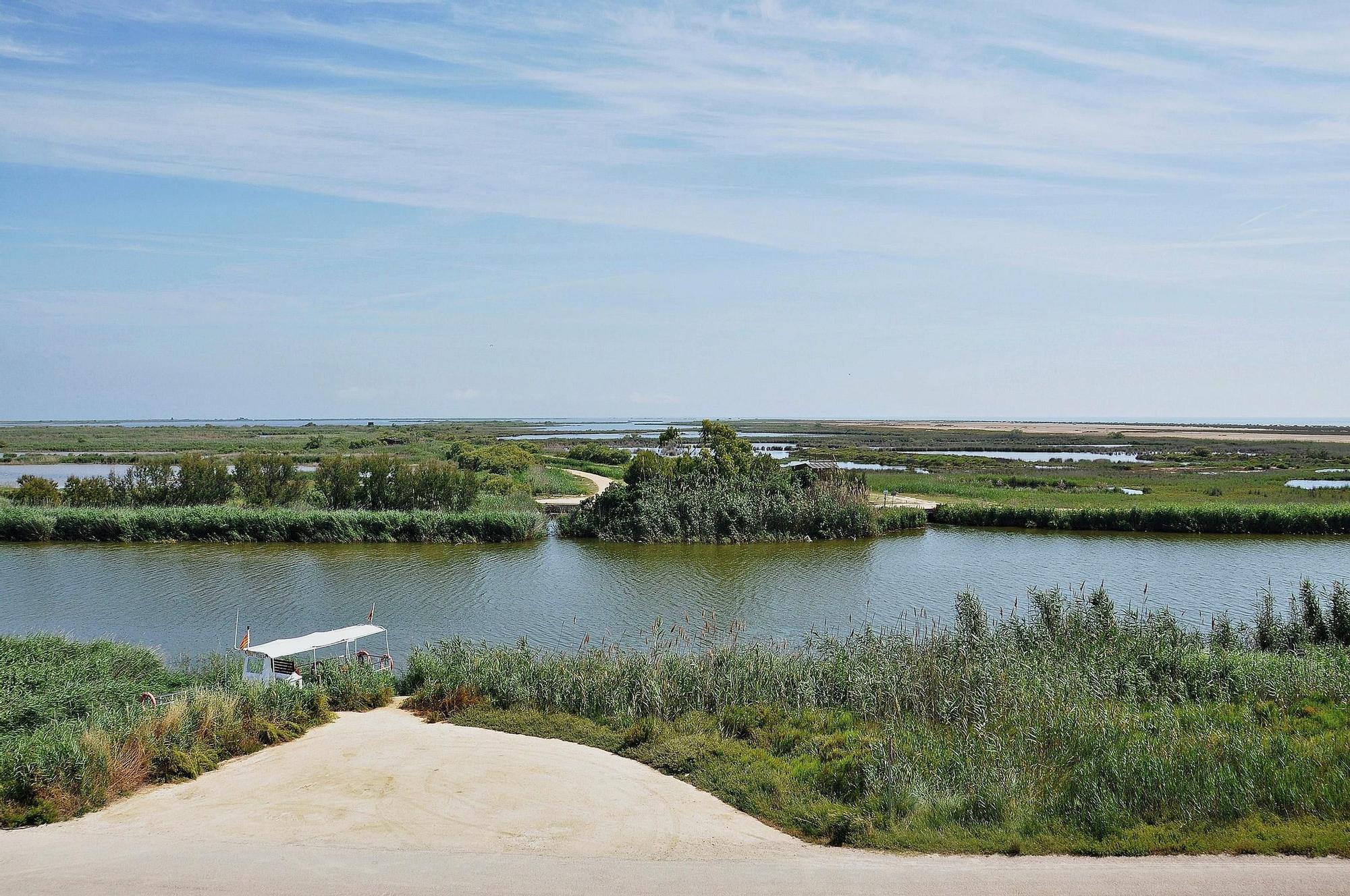 La isla de Buda cuenta con muchísimas especies de fauna y vegetación