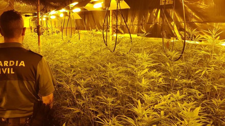 Dos detenidos por un invernadero con 300 plantas de marihuana en Meis