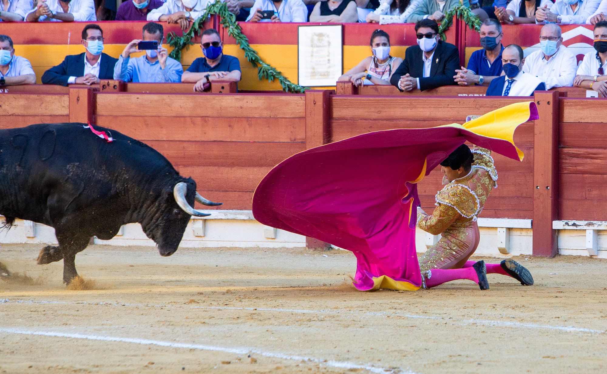 El Juli y Manzanares salen a hombros en la primera tarde de homenaje al maestro de Alicante