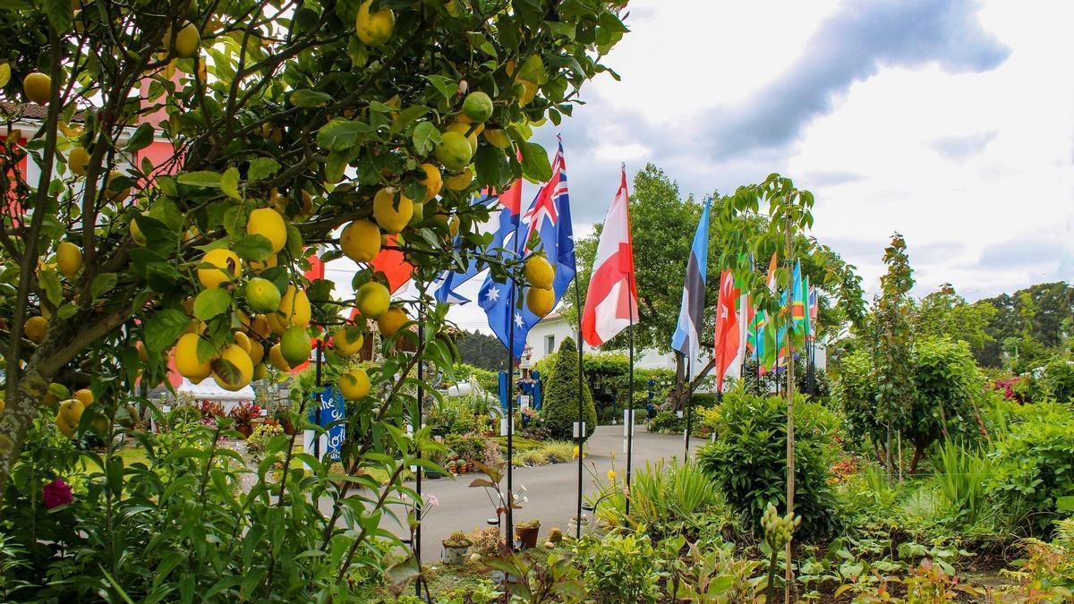 Trece años de "The Garden Molleda", el jardín más famoso de Corvera: "Empecé con una semilla y me sumergí en un mundo enorme"