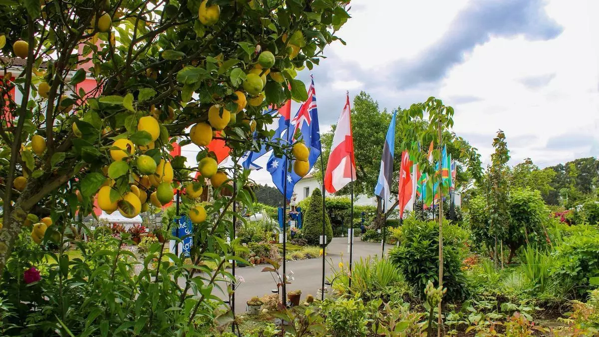 Trece años de "The Garden Molleda", el jardín más famoso de Corvera: "Empecé con una semilla y me sumergí en un mundo enorme"