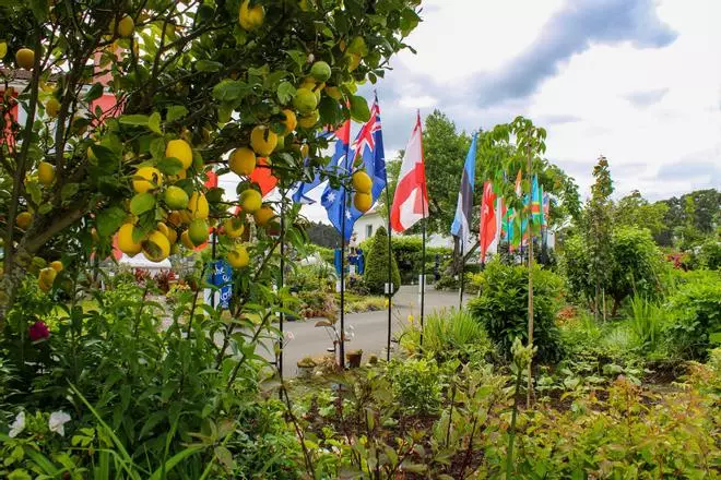 EN IMÁGENES: "The Garden Molleda" celebra su décimotercer aniversario