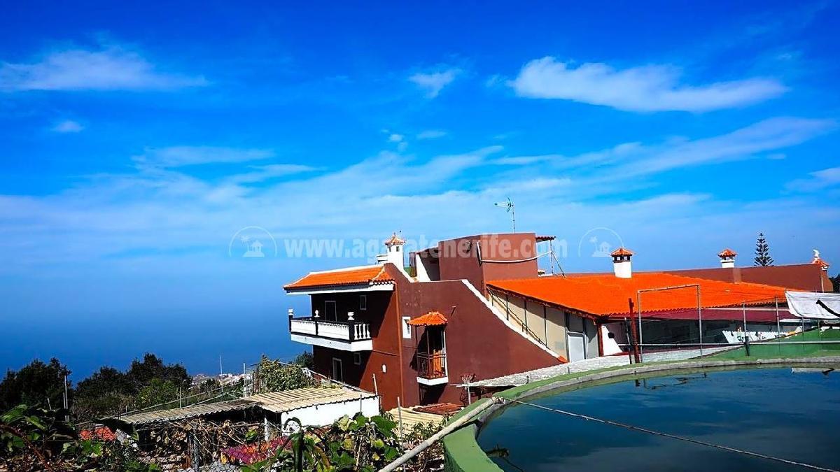 Chollazo inmobiliario en Tenerife: Casa y finca con frutales en Icod