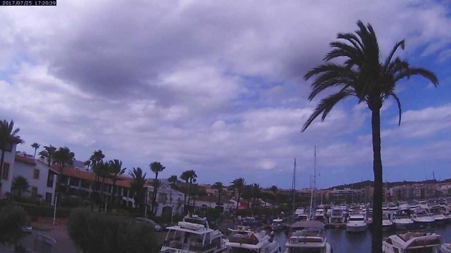 Kein idealer Strandtag: Die Palme in Port d&#039;Alcúdia biegt sich etwas unter den Wolken.