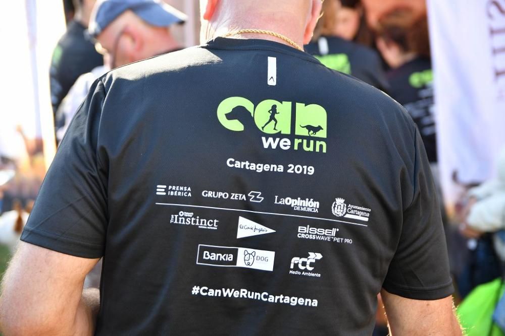 Can We Run Cartagena