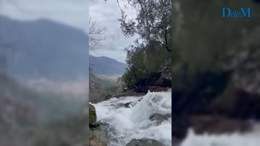 (VÍDEO) Los torrentes de Mallorca a rebosar tras las lluvias y el deshielo
