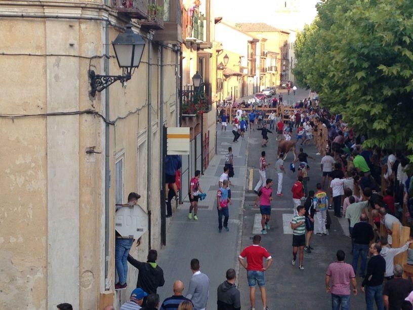 Fiestas Toro: Encierro urbano y suelta de vaquilla