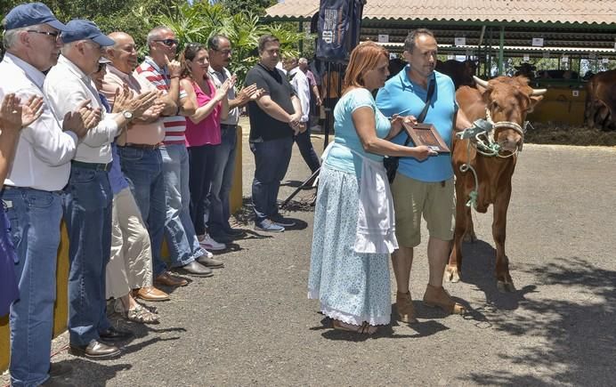 ARUCAS GRAN CANARIA A 28/05/2017 Entrega de premios concurso de ganado del Cabildo de Gran Canaria. FOTO: J.PÉREZ CURBELO