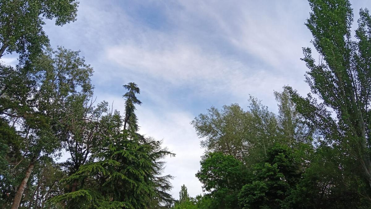 Cielos despejados en Zamora capital con intervalos nubosos flojos. Zona de Valorio.