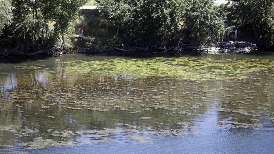 La Loteta suministra agua al Canal Imperial ante la pertinaz sequía