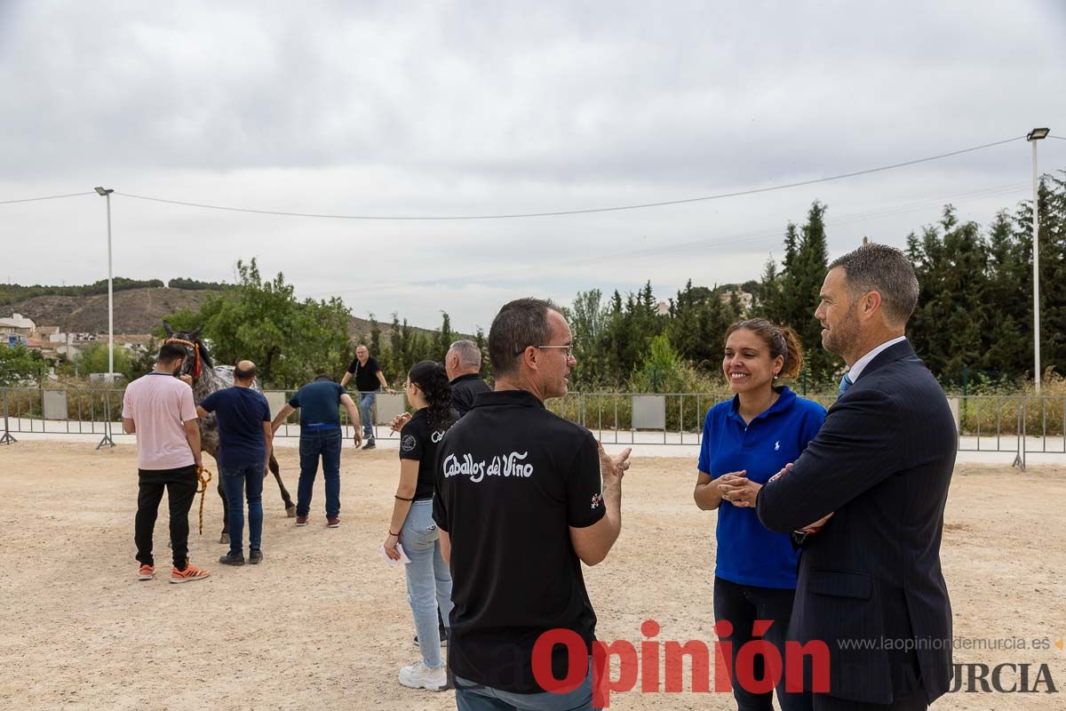 Control veterinario de los Caballos del Vino en Caravaca