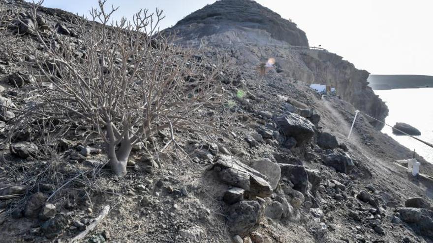 Yacimiento en El Pajar, Mogán