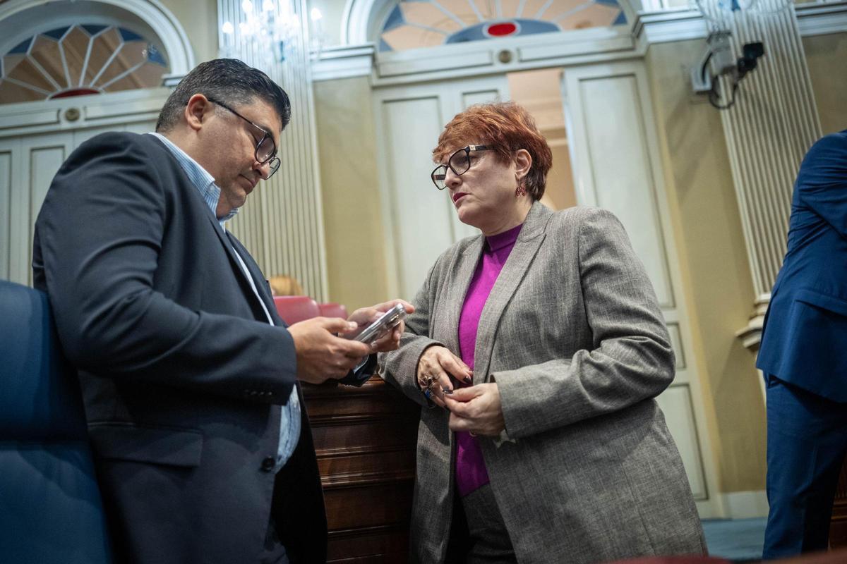 La consejera de Bienestar Social, Candelaria Delgado, junto a Miguel Ángel Pérez (Psoe)
