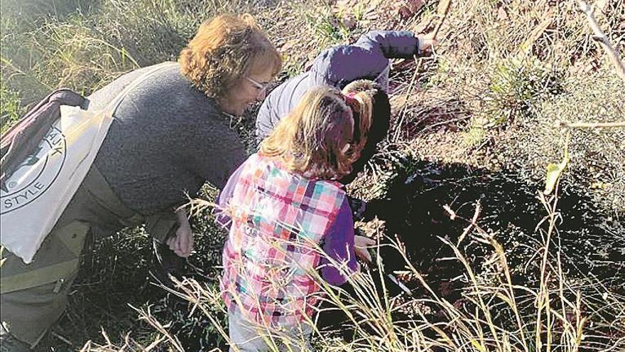 ¿Y si plantamos bellotas?