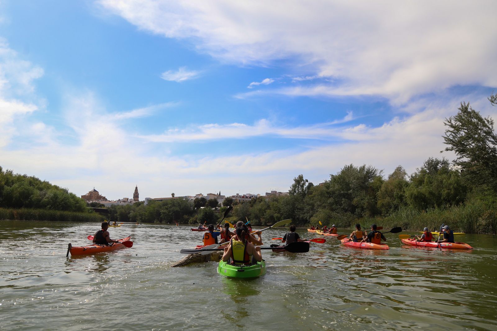 El caimán se echa al río