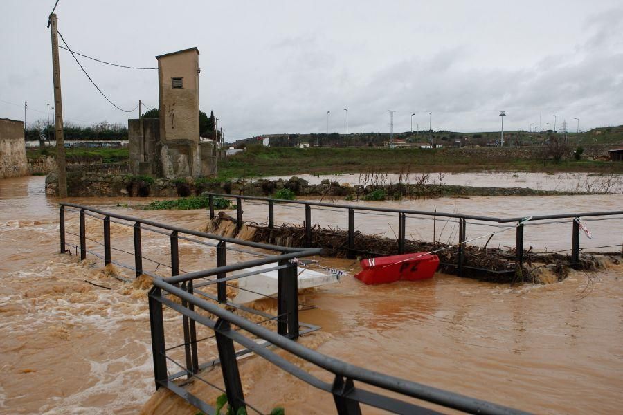 Inundaciones de enero 2016 en Zamora