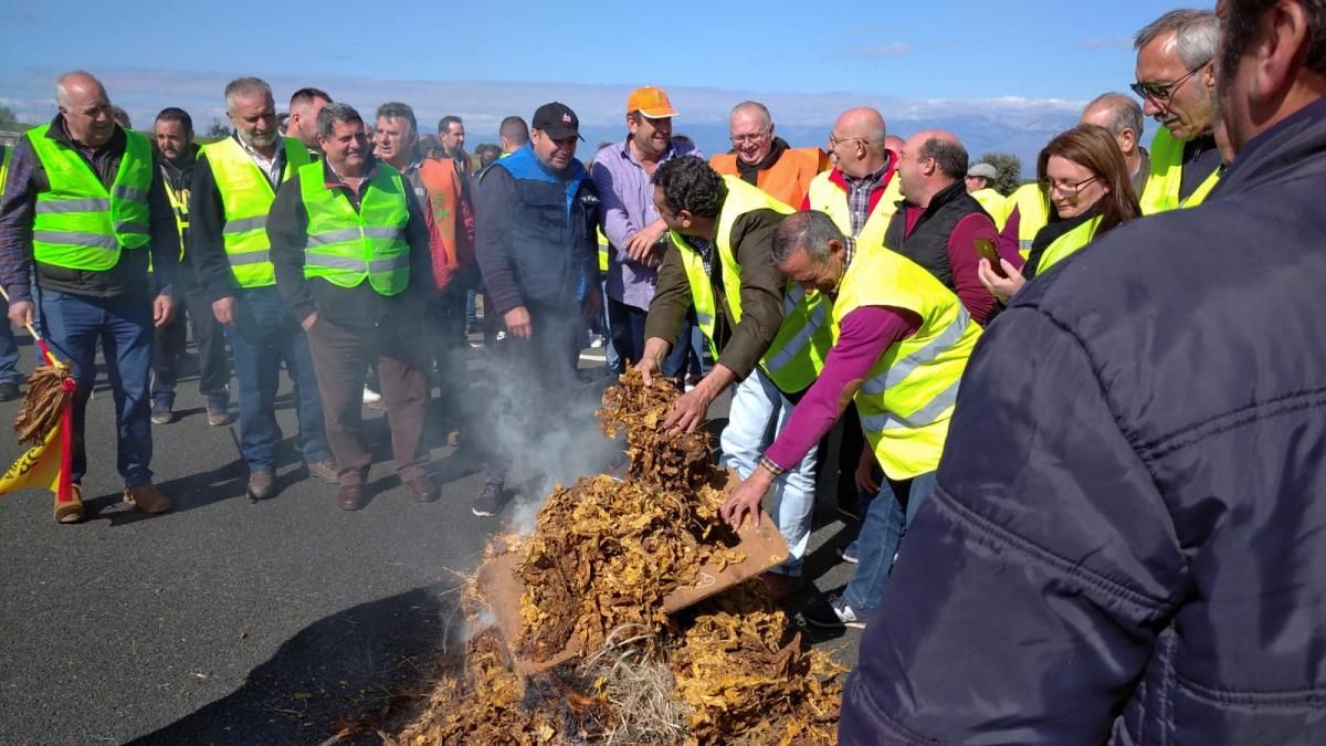 La protesta de los agricultores en imágenes