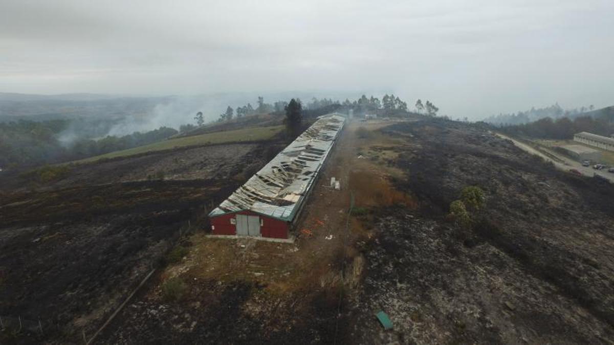 Una granja con 10.000 gallinas se quemó en Siador y ocho explotaciones con 2.500 cerdos se salvó.