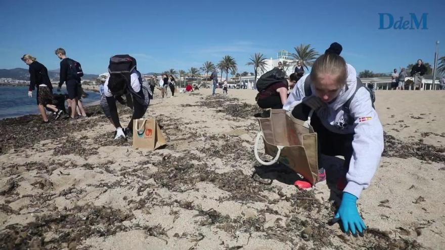 Cientos de voluntarios limpian la playa de Ciutat Jardí