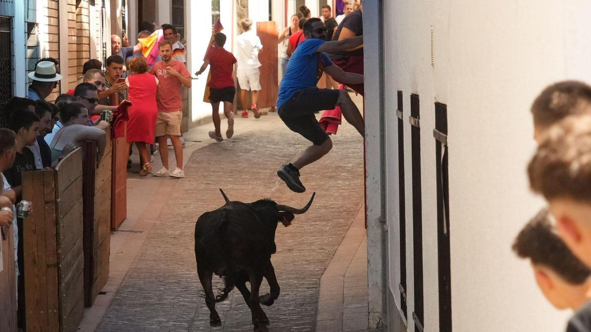 Imagen de un encierro en El Viso.