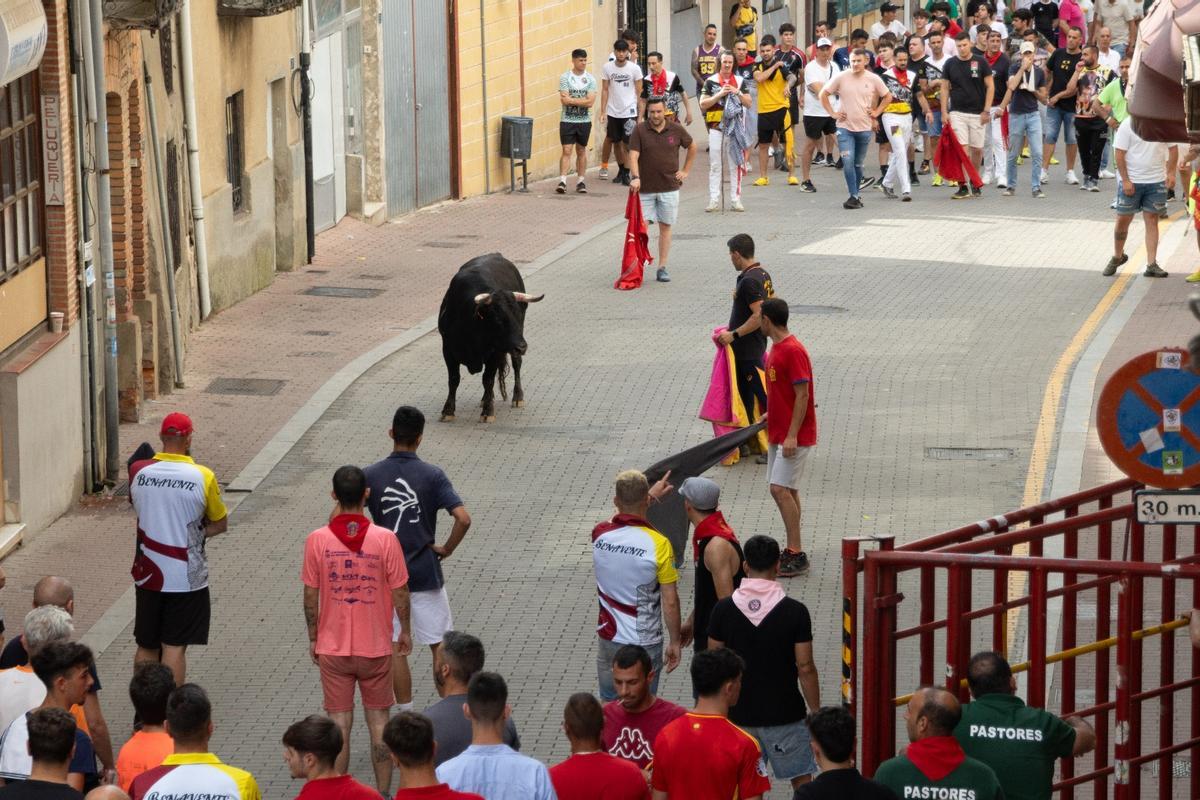 Toro del cajón del pasado año, de Charamandanga.