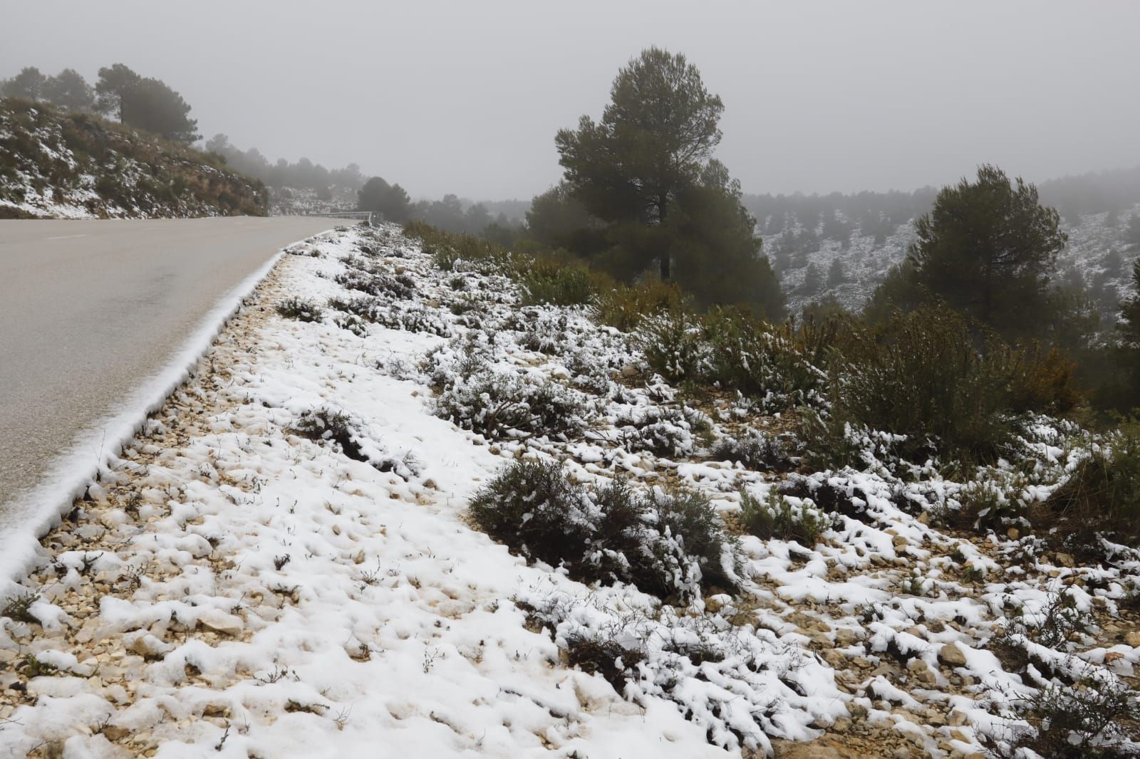 La nieve llega a Enguera