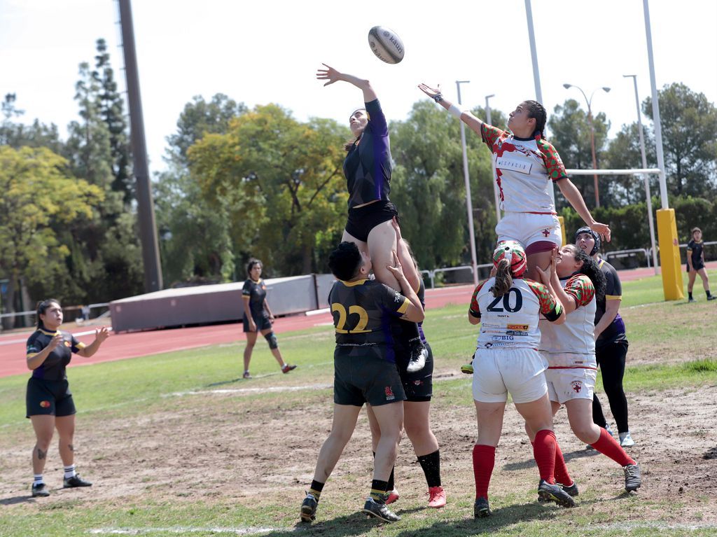 Torneo de rugby