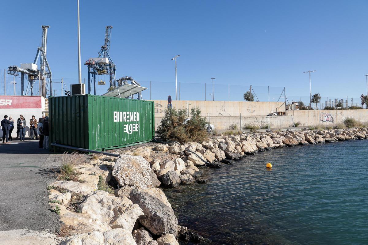 El puerto de Alicante multiplicará por 10 el caudal de agua regenerada con algas – INFORMACION
