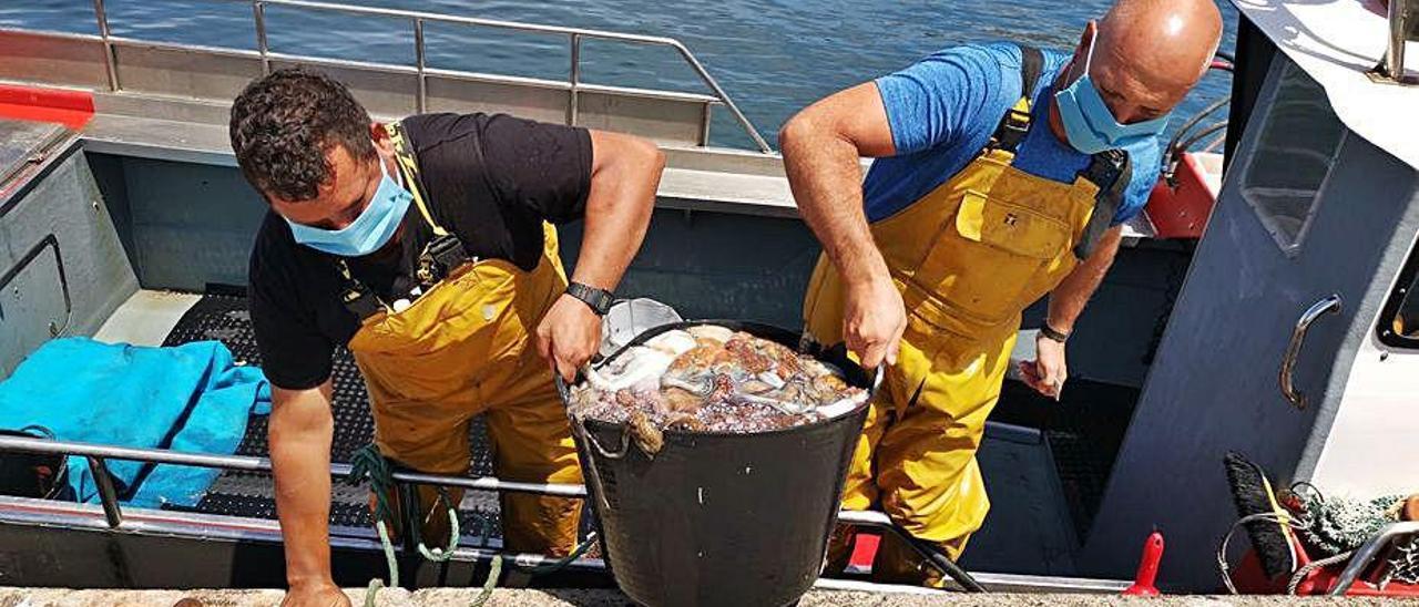 La tripulación de un barco desembarca un &quot;capacho&quot; en Bueu.