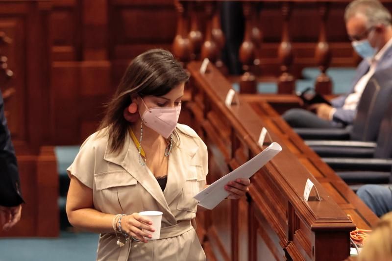 Pleno del Parlamento de Canarias, 17/08/2021