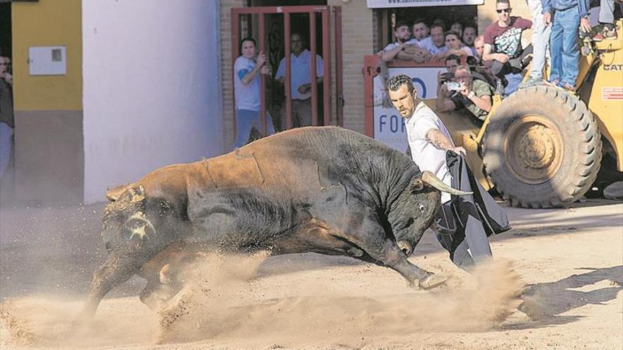 La Vall ata su liderato taurino para el 2020 y prevé exhibir unos 100 toros