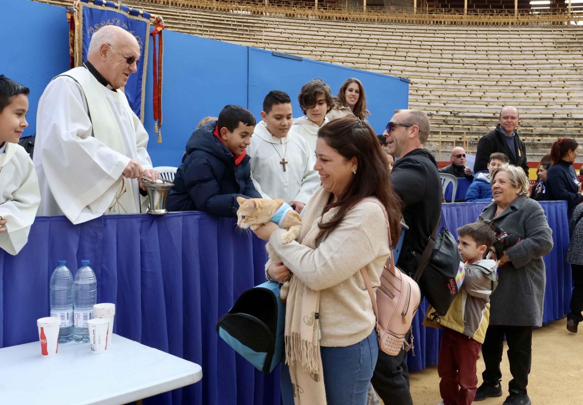 El Porrate de San Antón de Alicante culmina con la bendición de animales y llena de vida la Plaza de Toros